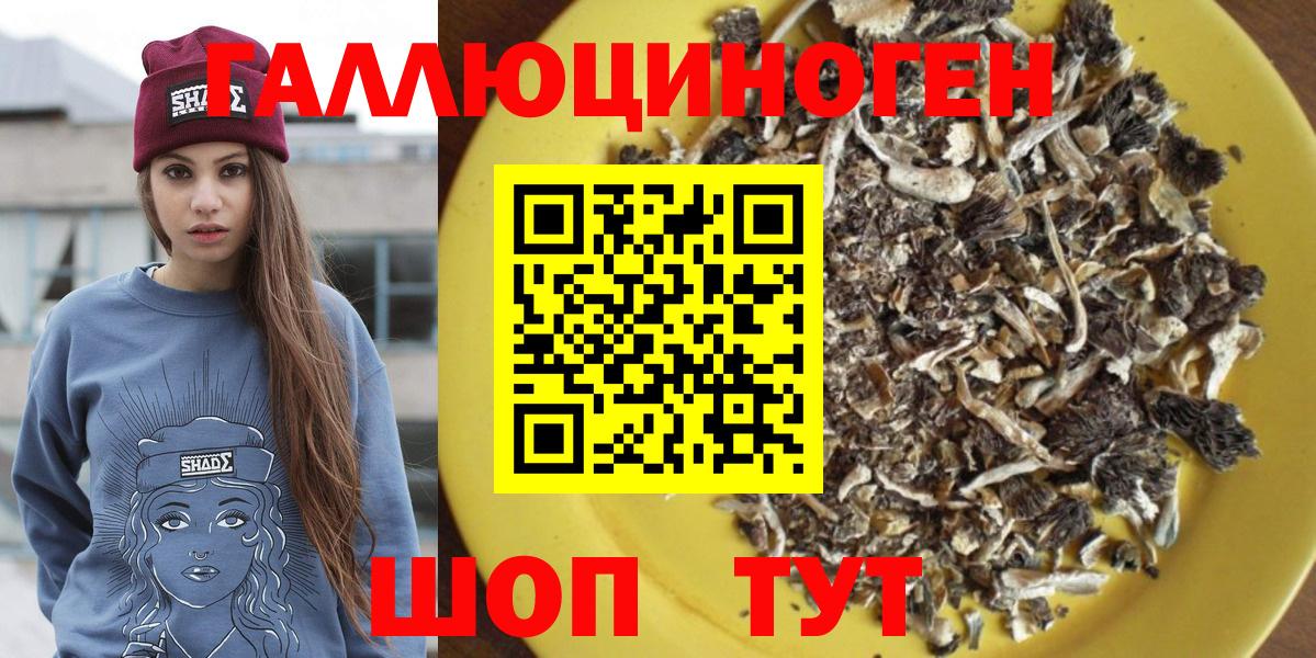 Советск  Псилоцибиновые грибы Psilocybe  Вход с VPN  Галлюциногенные грибы мухоморы 