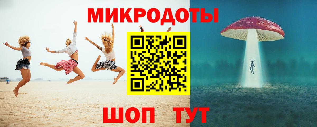 Псилоцибиновые грибы Psilocybe Советск